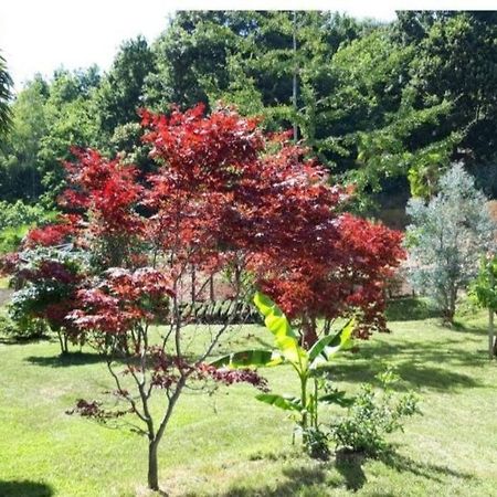Appartamento Istanti - Menta Costigliole Saluzzo Esterno foto