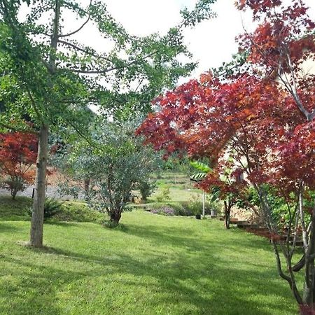 Appartamento Istanti - Menta Costigliole Saluzzo Esterno foto