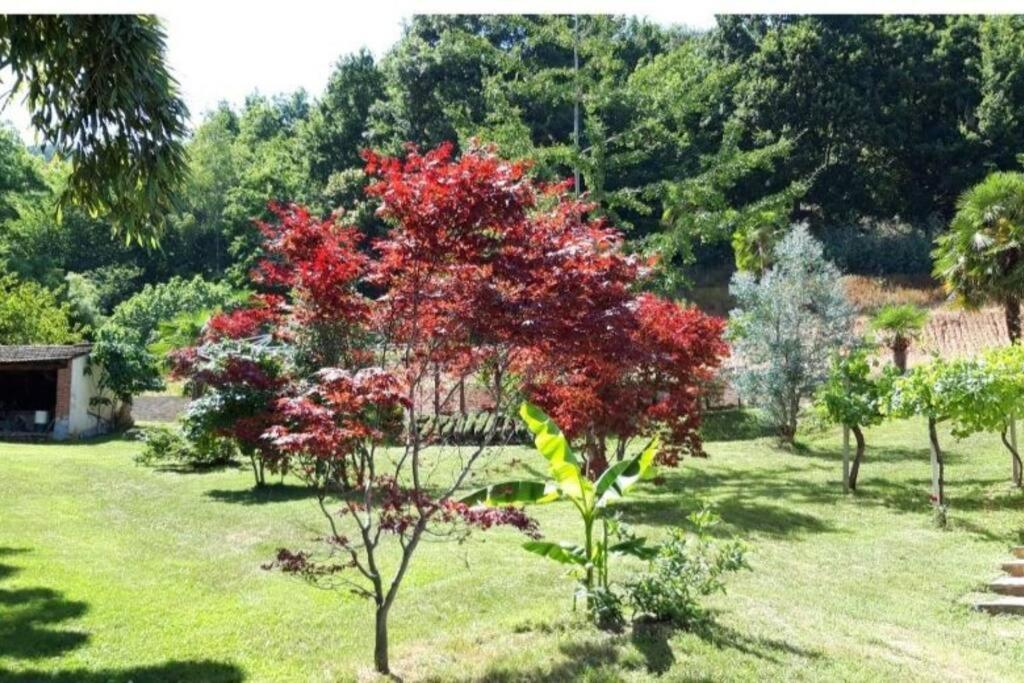 Appartamento Istanti - Menta Costigliole Saluzzo Esterno foto