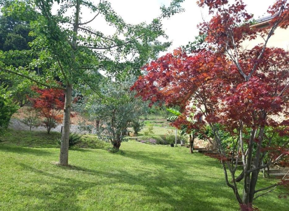 Appartamento Istanti - Menta Costigliole Saluzzo Esterno foto